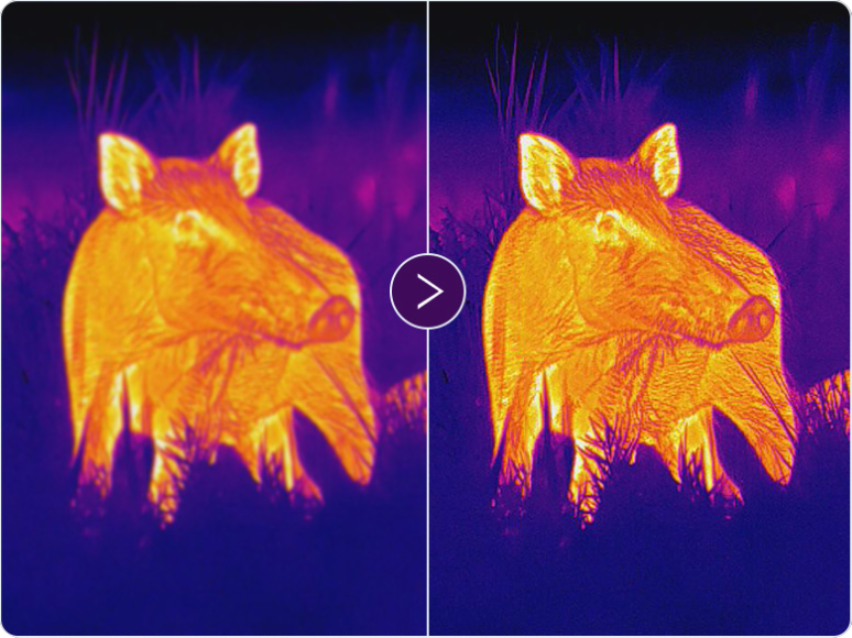 PARD neues AMOLED-Display